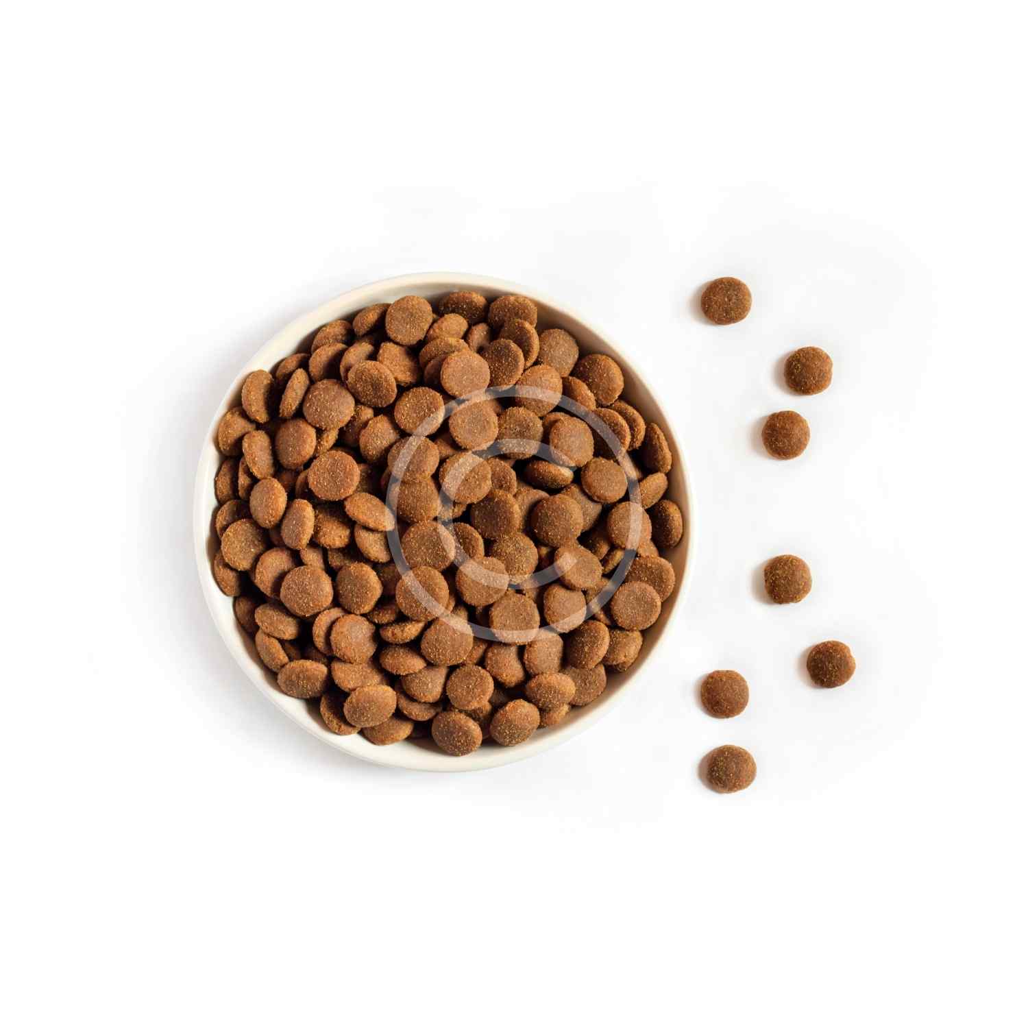 Chewing Bones:圖片 3